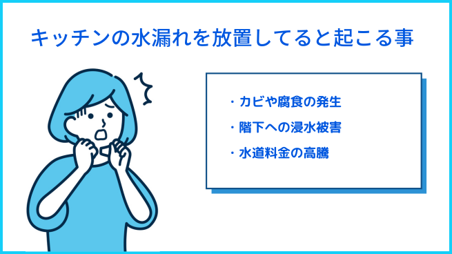 キッチンの水漏れを放置していると起こる事