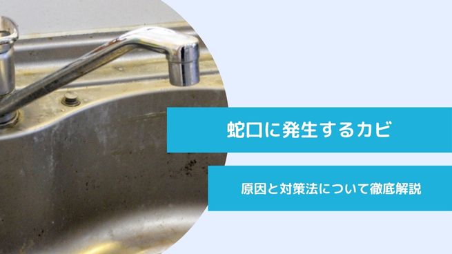 蛇口に発生するカビの原因と対策法について徹底解説